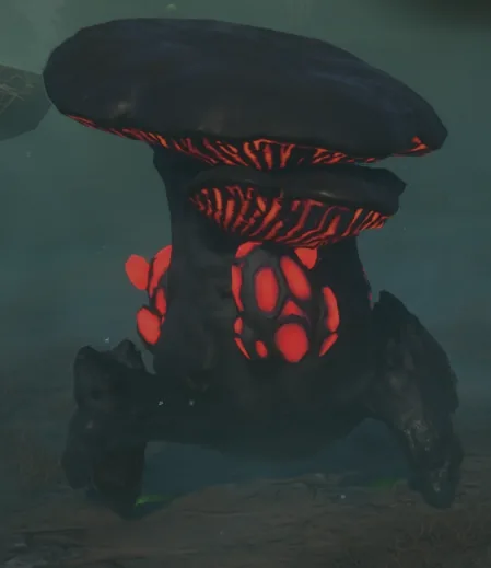 Fell Fungal Friend