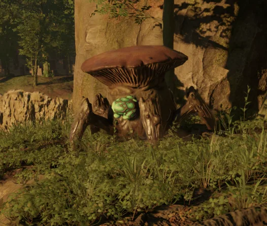 Fungal Friend