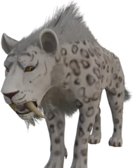 Snow Sabertooth