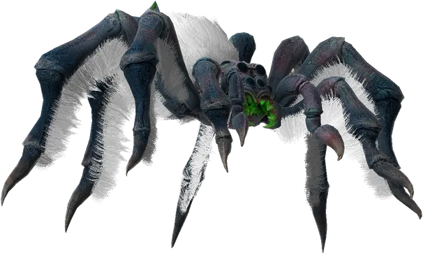 Spider Mama