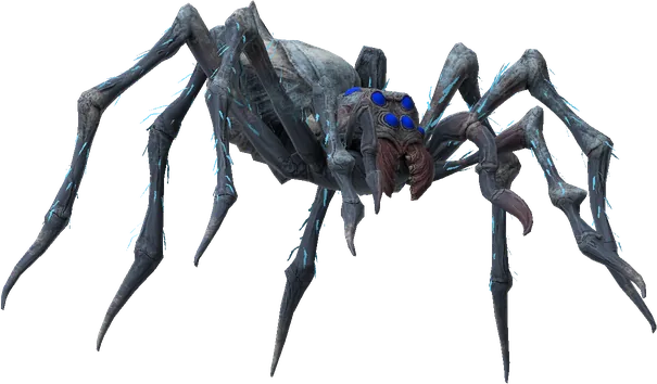 Summit Spitting Spider