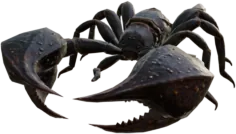 Venomous Scorpion