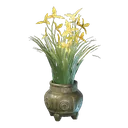 Yellow Cymbidum Flower